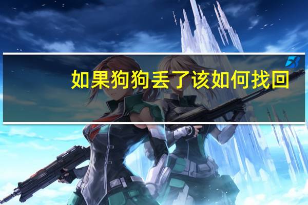 如果狗狗丢了该如何找回