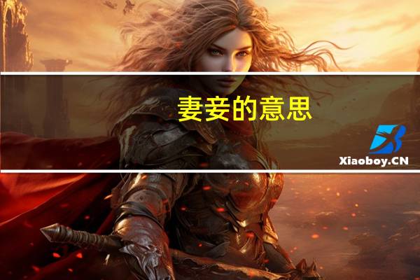 妻妾的意思