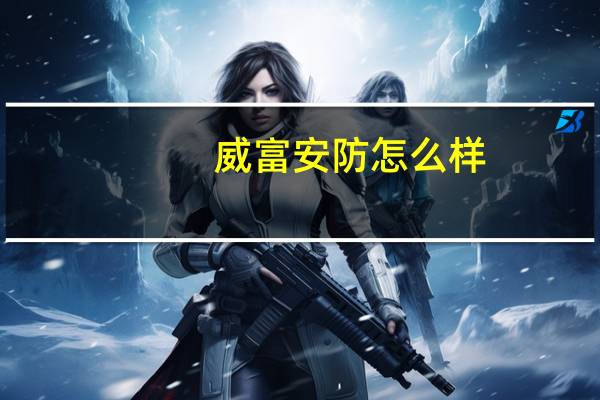 威富安防怎么样