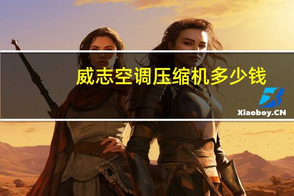 威志空调压缩机多少钱