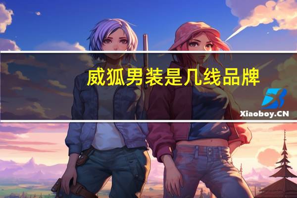威狐男装是几线品牌