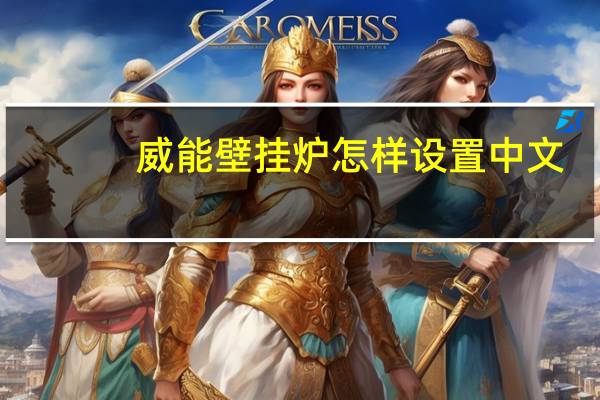 威能壁挂炉怎样设置中文