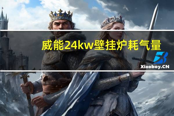 威能24kw壁挂炉耗气量
