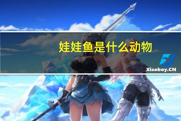 娃娃鱼是什么动物