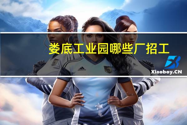 娄底工业园哪些厂招工
