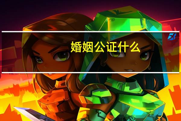婚姻公证什么