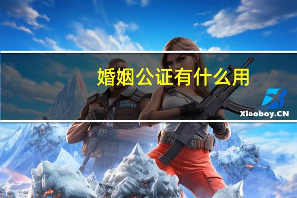 婚姻公证有什么用