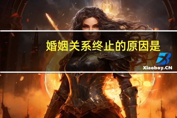 婚姻关系终止的原因是