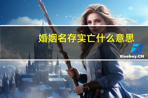 婚姻名存实亡什么意思