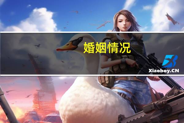 婚姻情况
