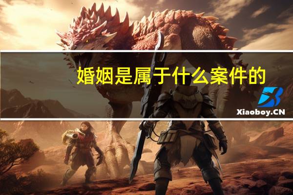 婚姻是属于什么案件的