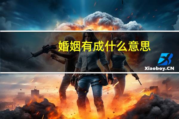 婚姻有成什么意思