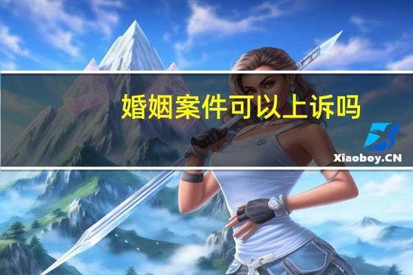 婚姻案件可以上诉吗