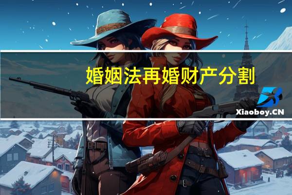 婚姻法再婚财产分割