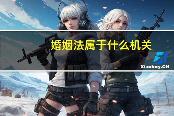 婚姻法属于什么机关