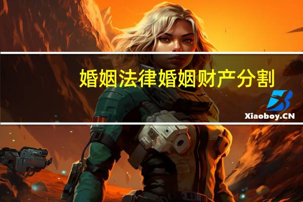 婚姻法律婚姻财产分割