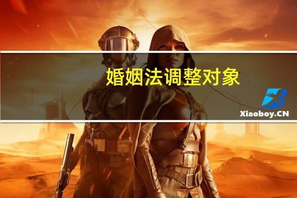 婚姻法调整对象