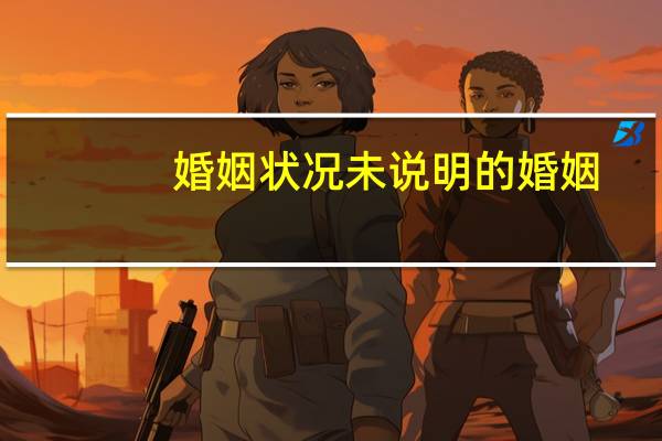 婚姻状况未说明的婚姻