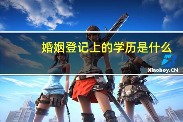 婚姻登记上的学历是什么
