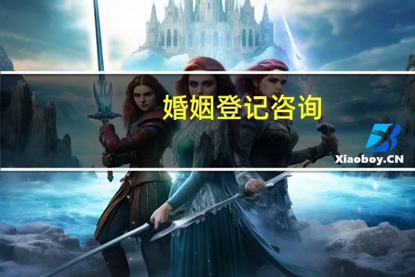 婚姻登记咨询