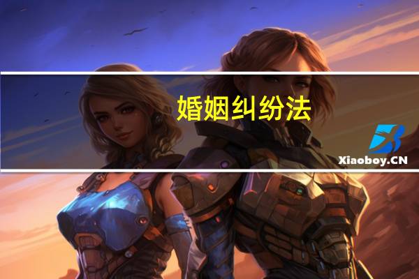 婚姻纠纷法
