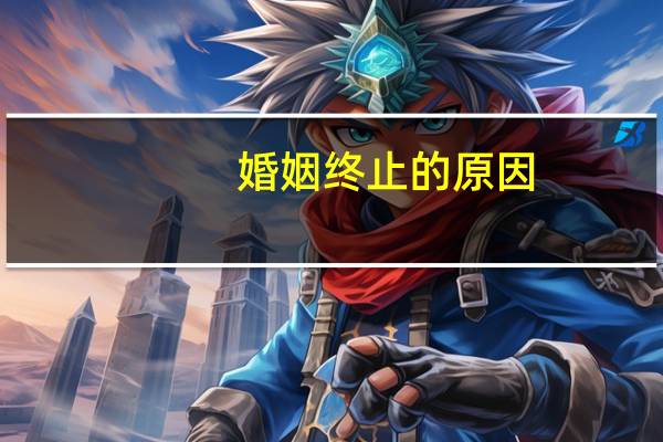 婚姻终止的原因