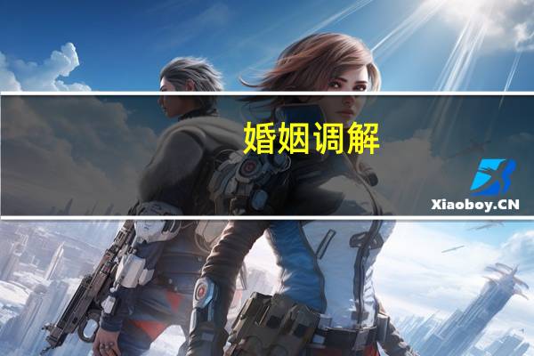 婚姻调解