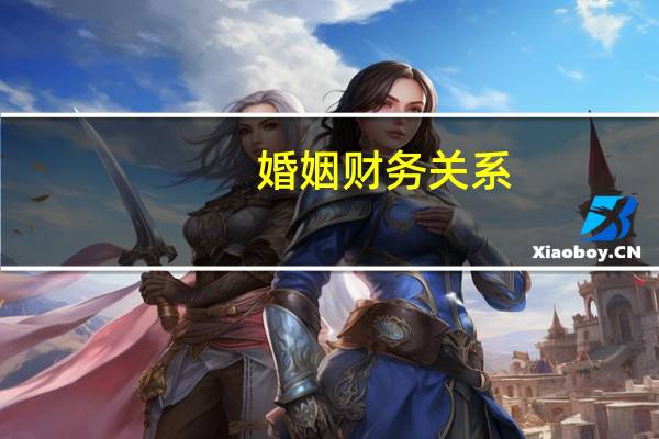 婚姻财务关系