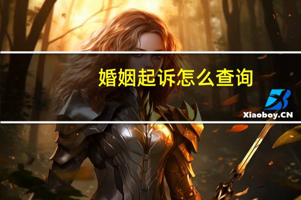 婚姻起诉怎么查询