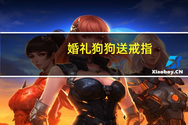 婚礼狗狗送戒指