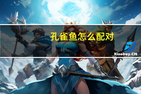 孔雀鱼怎么配对