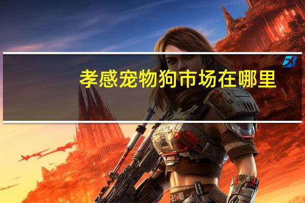 孝感宠物狗市场在哪里