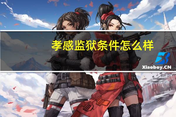 孝感监狱条件怎么样