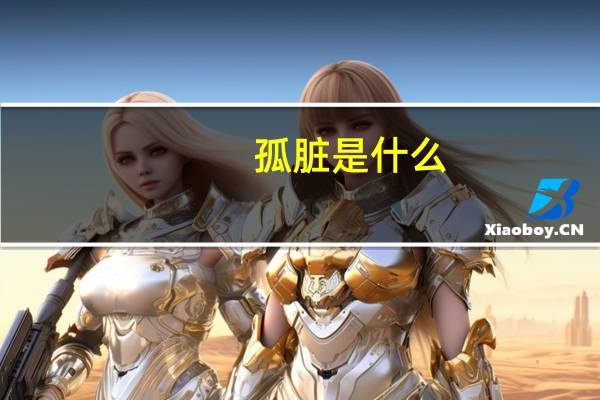 孤脏是什么