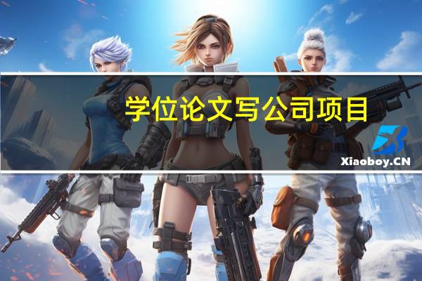 学位论文写公司项目