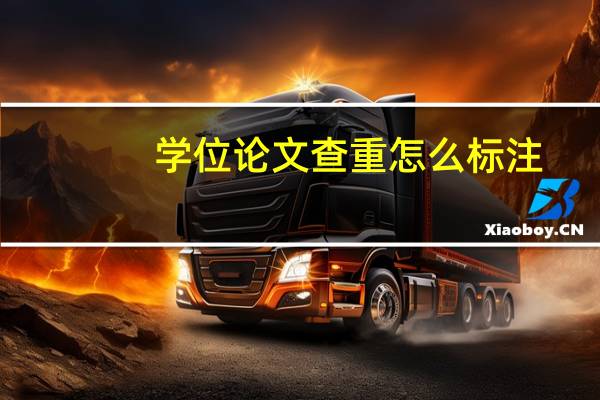 学位论文查重怎么标注