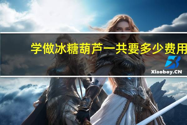 学做冰糖葫芦一共要多少费用