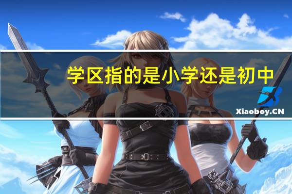 学区指的是小学还是初中