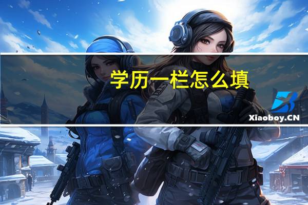 学历一栏怎么填