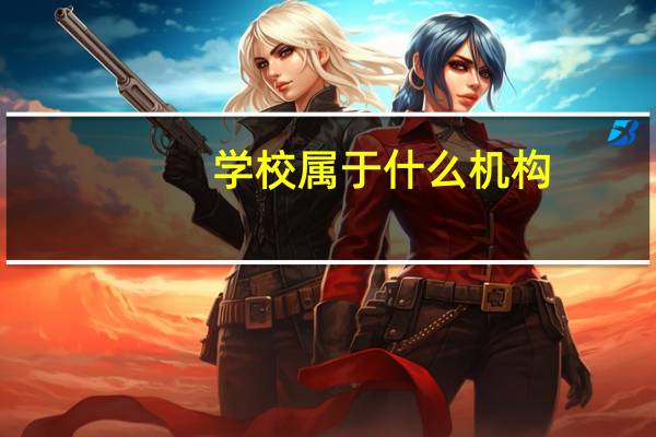 学校属于什么机构？