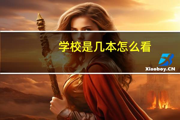 学校是几本怎么看
