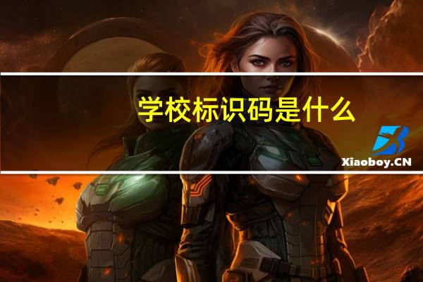学校标识码是什么