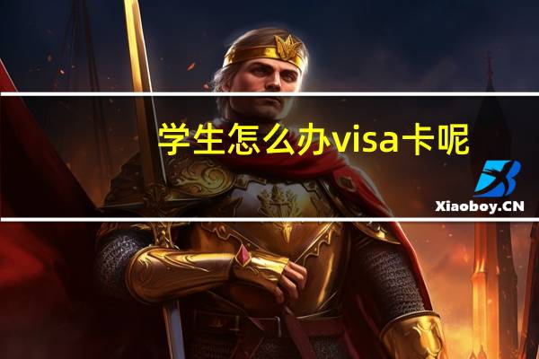 学生怎么办visa卡呢