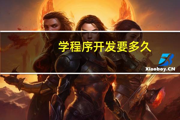 学程序开发要多久