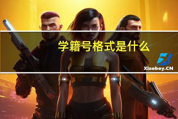 学籍号格式是什么