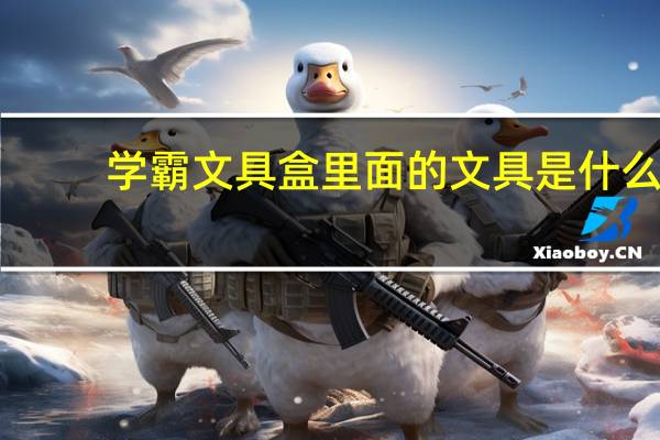 学霸文具盒里面的文具是什么