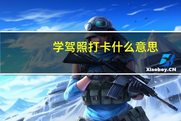 学驾照打卡什么意思