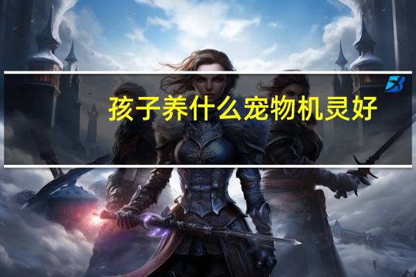 孩子养什么宠物机灵好