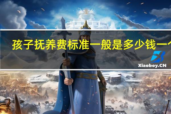 孩子抚养费标准一般是多少钱一个月