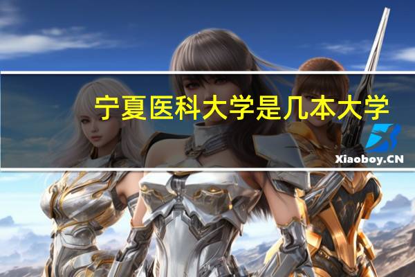 宁夏医科大学是几本大学